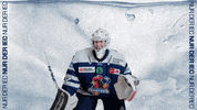 Hockey Tor GIF by Iserlohn Roosters