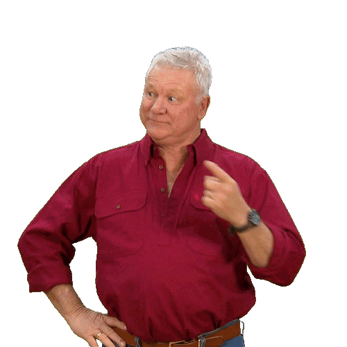 Renovate Channel 9 Sticker by The Block