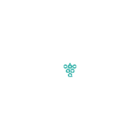 sixtyvines logo wine teal winery Sticker