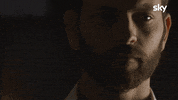 Sky Atlantic GIF by Sky Italia