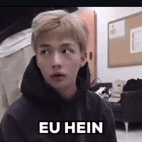 Stray Kids GIF by lgcapucci