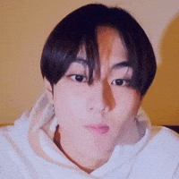 Korean No GIF by lgcapucci