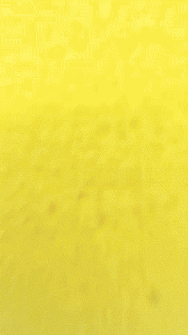Bigchungus GIF by Youtooz