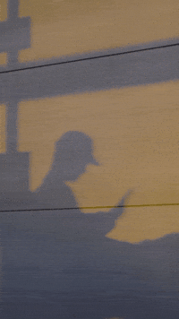 Jae Park Shadow GIF