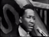 GIF by Muddy Waters