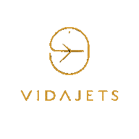 VidaJets travel fly trip flight Sticker