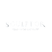 Sculptorclinic rv ricardoventura sculptorclinic laurahurtado Sticker