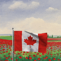 Memorial Day Thank You GIF by Vinnie Camilleri