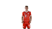 Joshua Kimmich Win Sticker by FC Bayern Munich