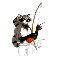 letsdancere lets dance capoeira guaxinim capogiro Sticker