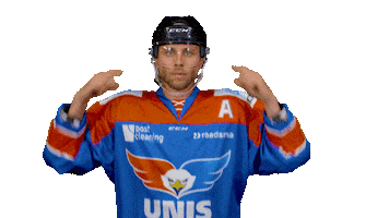 unisflyers 10 eagles flyers nederland Sticker