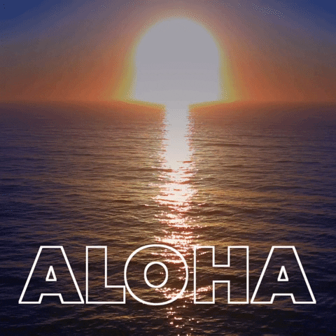 Sunset Aloha GIF by giphystudios2021