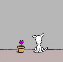 chippythedog love flower dogs gardening GIF