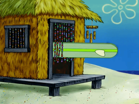 season 6 GIF by SpongeBob SquarePants