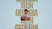 Georgia Tech Football Sport GIF by Georgia Tech Yellow Jackets