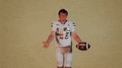 Georgia Tech Football Sport GIF by Georgia Tech Yellow Jackets