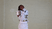 Georgia Tech Football Sport GIF by Georgia Tech Yellow Jackets
