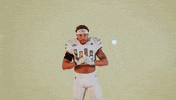 Georgia Tech Football Sport GIF by Georgia Tech Yellow Jackets