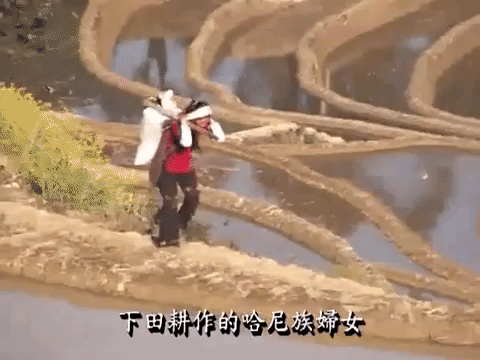 minorities shao shu min zu GIF