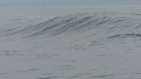 Sport Beach GIF by Bodyboarding Panama