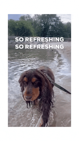 Cockeren_houdini so refreshing so refreshing GIF