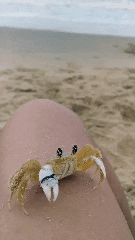 yaroslavastrutsynska giphygifmaker GIF