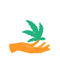 Flor Uruguay Sticker by ExpoCannabis