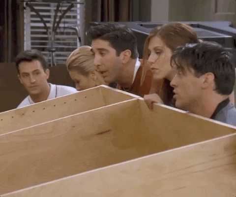 Season 3 Friends Tv Show GIF by Friends