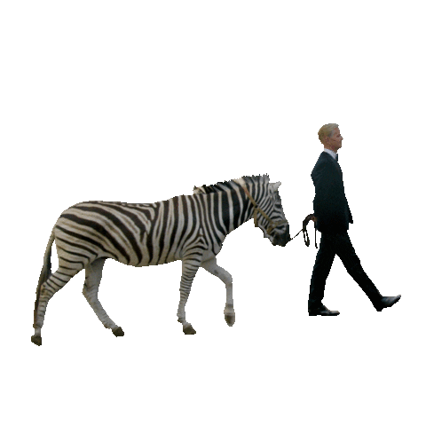 Loop Walk Sticker by Universal Music Deutschland