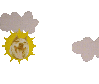 Good Morning Beautiful Jelly Sticker by GIPHY Studios 2022