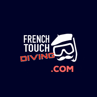 frenchtouchdiving giphygifmaker giphygifmakermobile plongee GIF