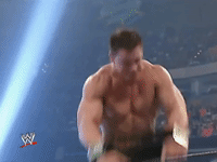 wwe sports wwe wrestling summerslam GIF