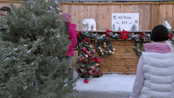Happy Tis The Season GIF by Hallmark Channel