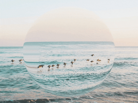 Germany Wow GIF by FranchiseONE.de
