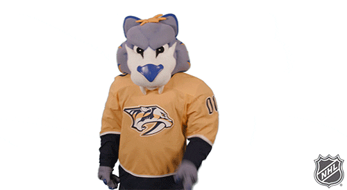 Ice Hockey GIF by NHL