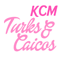 KristinaMcinnis pink birthday barbie kcm Sticker