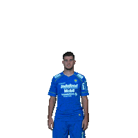 Nick Persibday Sticker by PERSIB Bandung