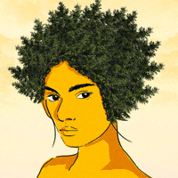 trees afro GIF by Percolate Galactic
