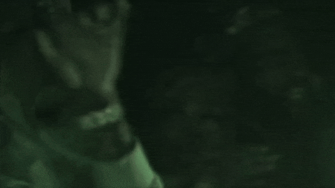 Apple Pie Cash Cobain GIF by Giant Music