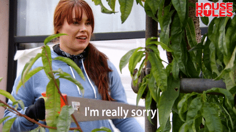 house rules lisa GIF by Channel 7