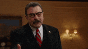 blue bloods reagan GIF by CBS