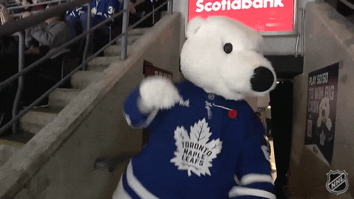 Happy National Hockey League GIF by NHL