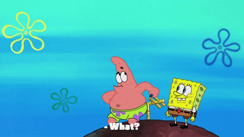 season 10 episode 6 GIF by SpongeBob SquarePants