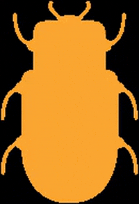 Instituto Besouro GIF by voabesouro