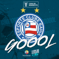 Copa Do Nordeste Bahia GIF by TV Jornal Interior