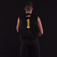 Celebration Volleyball GIF by Purdue Fort Wayne Athletics