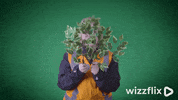Wizzflix_ green surprise look good job GIF