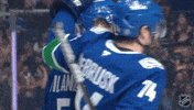 National Hockey League Hug GIF by NHL