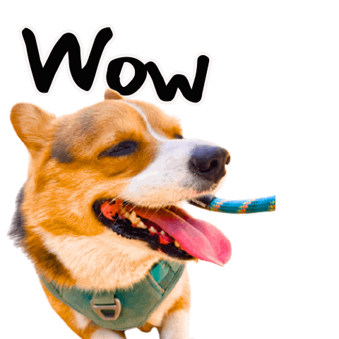 Corgi Wow Sticker