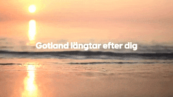 Gfb GIF by goGotland